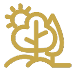 Venue Category